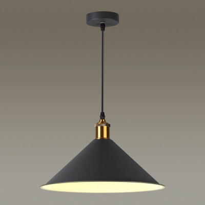 Подвесной светильник Odeon Light Pendant Agra 3364/1