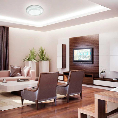 Настенно-потолочный светодиодный светильник Sonex Pale Floors 2041/EL