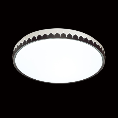 Настенно-потолочный светодиодный светильник Sonex Pale Dorta 3053/EL