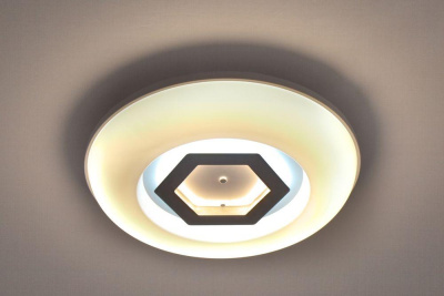 Потолочный светодиодный светильник Escada 10254/S LED