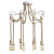 Потолочная люстра Arte Lamp A9477PL-8WG