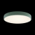 Потолочный светодиодный светильник Loft IT Axel 10002/24  green
