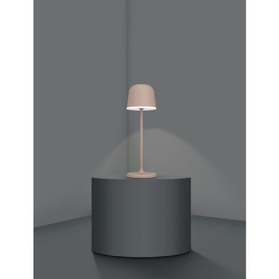 Настольная светодиодная лампа Eglo Mannera 900459