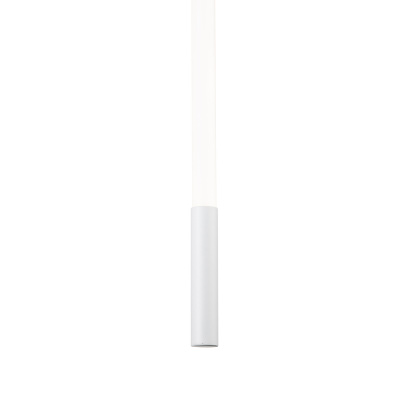 14008/1P White