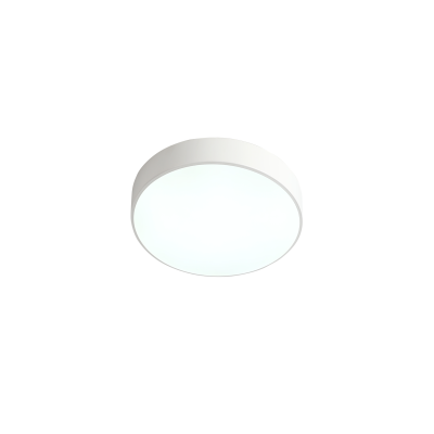 Потолочный светильник Zortes TORTTY ZRS.02564.36, Мощность - 36Вт, Тип лампы:  LED  SMD2835，Оптолинза RIO