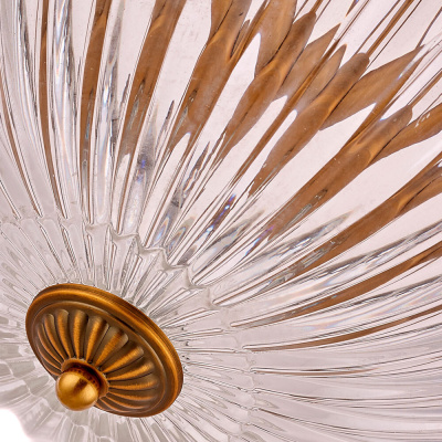 Потолочная люстра Arte Lamp SCHELENBERG