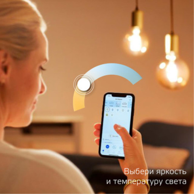 1310112 Лампа светодиодная филаментная Gauss Smart Home DIM+CCT E27 ST64 Golden 6,5 Вт 2000-5500 К 1/10/40