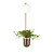 Настенный светильник Odeon Light Walli Flower 4682/1WB
