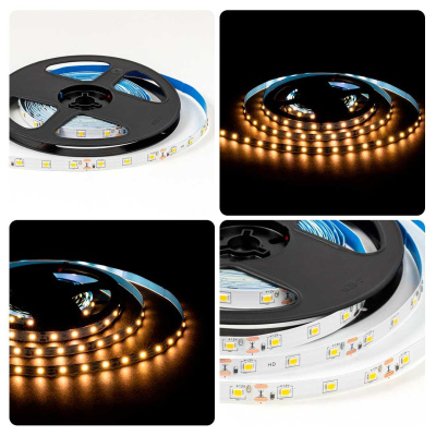 Светодиодная лента OGM 4,8W/m 60LED/m 2835SMD теплый белый 5M LSE-246