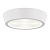 Потолочный светодиодный светильник Lightstar Urbano 214902