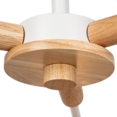 Потолочная люстра Arte Lamp MATTHEW