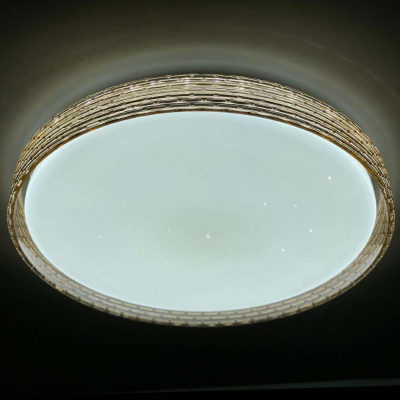 Потолочный светодиодный светильник Profit Light 2095/450 WH+GD