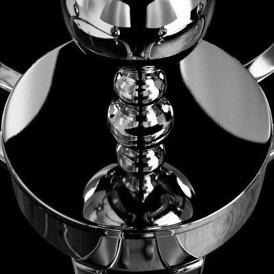 Потолочная люстра Arte Lamp PROMESSA