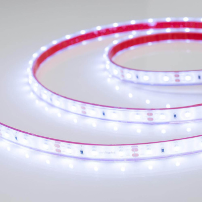 Светодиодная лента Arlight 4,8W/m 60LED/m 3528SMD холодный белый 5M 016839