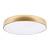 Потолочный светодиодный светильник Loft IT Flims 10228/A