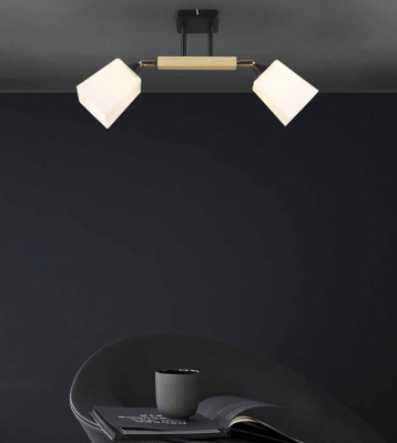 Спот Seven Fires Lion WD3508/2C-BK-WT