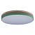 Потолочный светодиодный светильник Loft IT Axel 10001/36 green