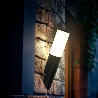 Уличный настенный светильник Arte Lamp SALIRE