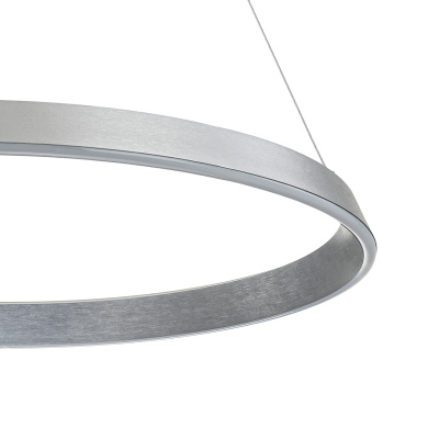 14019/1P Silver
