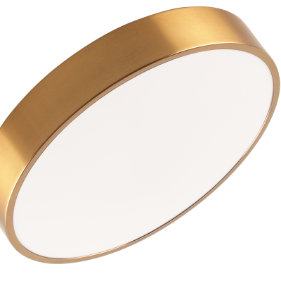 Потолочный светильник Zortes TORTTY ZRS.02566.48, Мощность - 48Вт, Тип лампы:  LED  SMD2835，Оптолинза RIO
