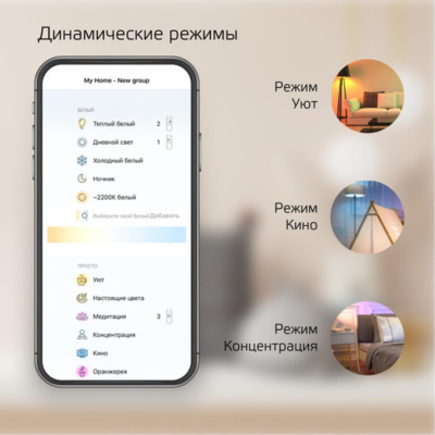 1310112 Лампа светодиодная филаментная Gauss Smart Home DIM+CCT E27 ST64 Golden 6,5 Вт 2000-5500 К 1/10/40