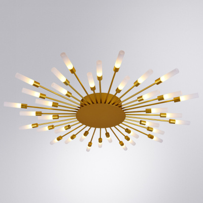 Потолочная люстра Arte Lamp MAPLE