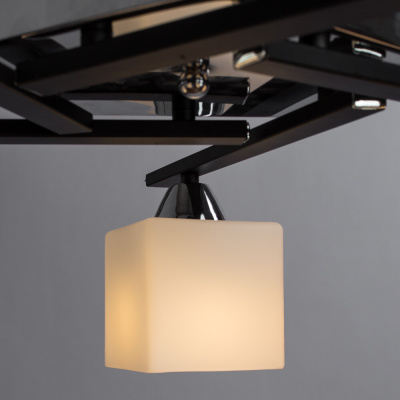 Потолочная люстра Arte Lamp VISUALE