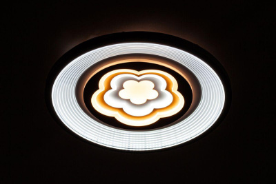 Потолочный светодиодный светильник Escada 10229/S LED