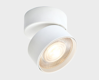 IT02-011 white 4000K светильник потолочный