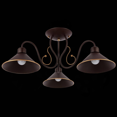 Потолочная люстра Evoluce Ciolla SLE120402-03