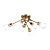 Escada 1137/6P E14*60W Champagne gold