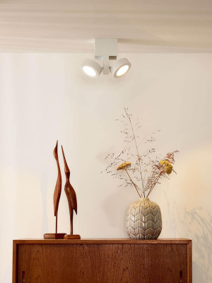 Светодиодный спот Lucide Mitrax Led 33159/10/31