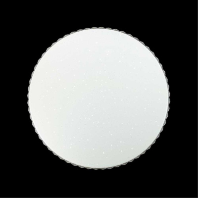 Настенно-потолочный светодиодный светильник Sonex Pale Dina 2077/EL