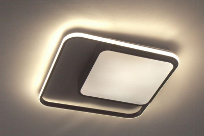 Потолочный светодиодный светильник Escada 10210/2LED