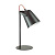 Настольная лампа Lumion Desk Kenny 3651/1T